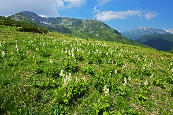 日本の百名山｜毎日山の旅・登山ツアー【関西・大阪発】｜毎日新聞旅行